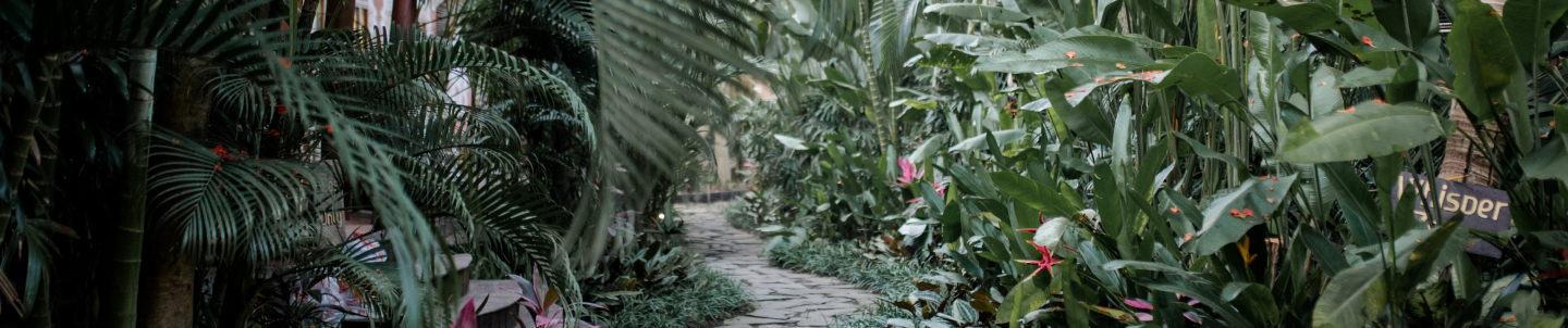 YogaBarn-garden-entrance-path 2